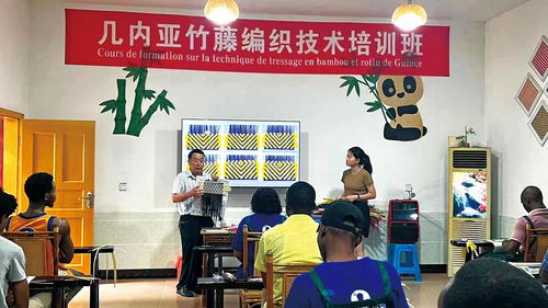 幾內亞竹藤編織技術培訓班在華圓滿結束