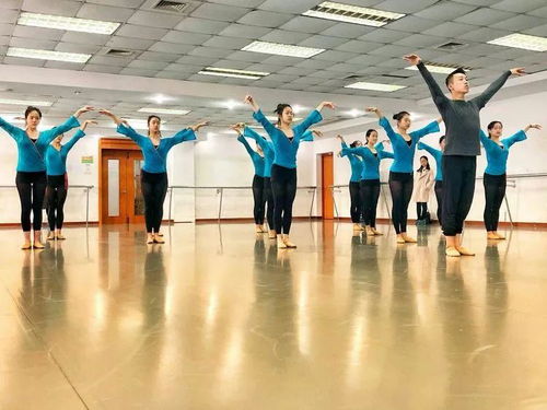 明理 悟情 取藝 廣州市白云區藝術教育骨干學習之旅